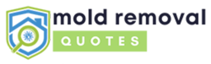 mold removal bellingham wa